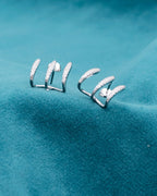 Silver Claw Embrace Earrings