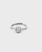 Silver Timeless Spark Silver Ring