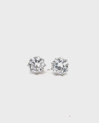 Silver Eternal Brilliance Earrings