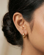 Classic Tube Hoop Earrings