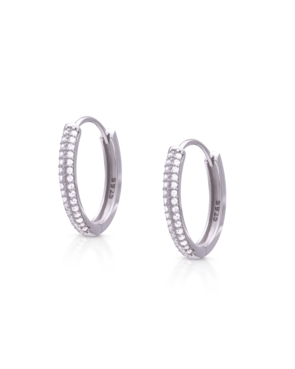 Silver Lustrous Curve Hoop Earrings